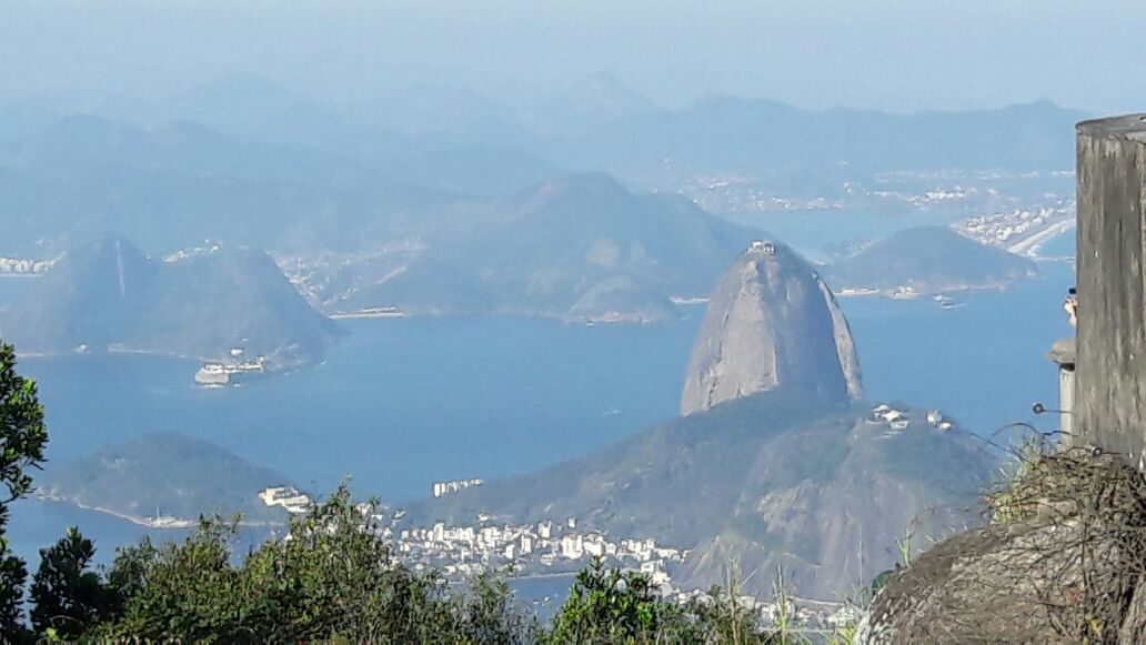 Toronto Chiropractor in Rio Olympics